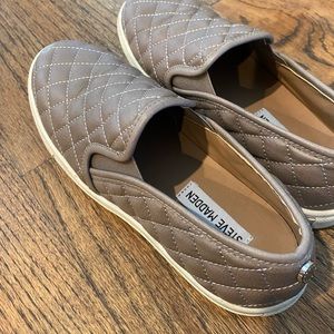 Steve Madden ECENTRCQ taupe/grey